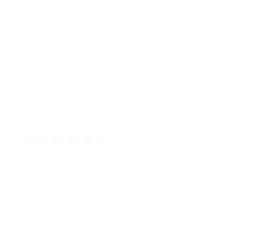 Miiya Guitar
